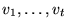 $v_1,\ldots,v_t$