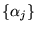 $ {\left\{{\alpha_j}\right\}}$